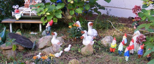lokale_netzwerke